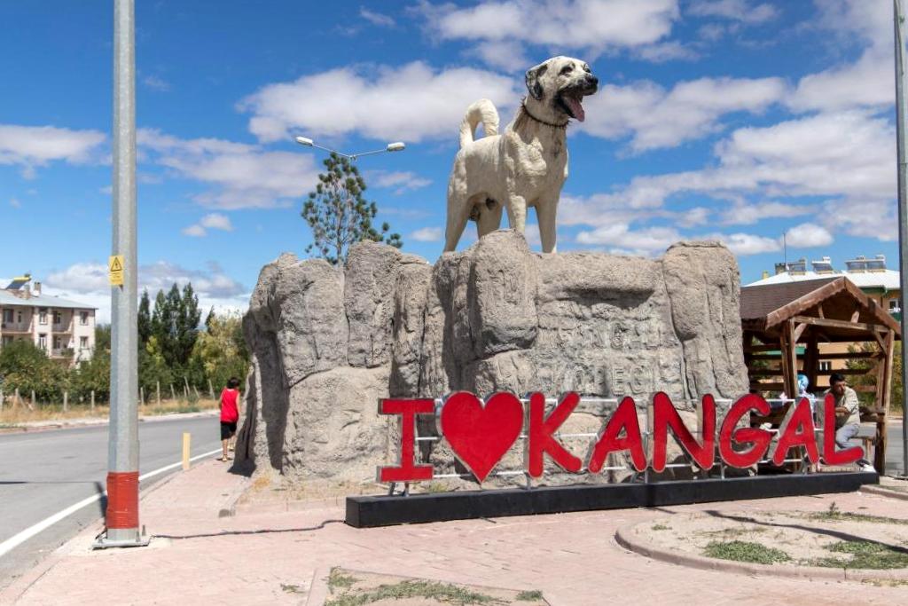 Sivas Kangal’dan Çanakkale Bayramiç Evciler Köyü’ndeki Kazdağları İnziva Oteli’ne Yolculuk